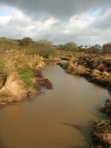 Part of channel around island; now filled with water, clay dam holding higher water in distance