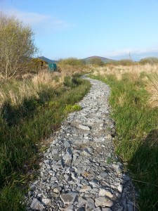 Stone Pathway 01